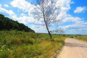 Земельна ділянка комерційного призначення в Пултівцях, площа 42 сотки фото 2