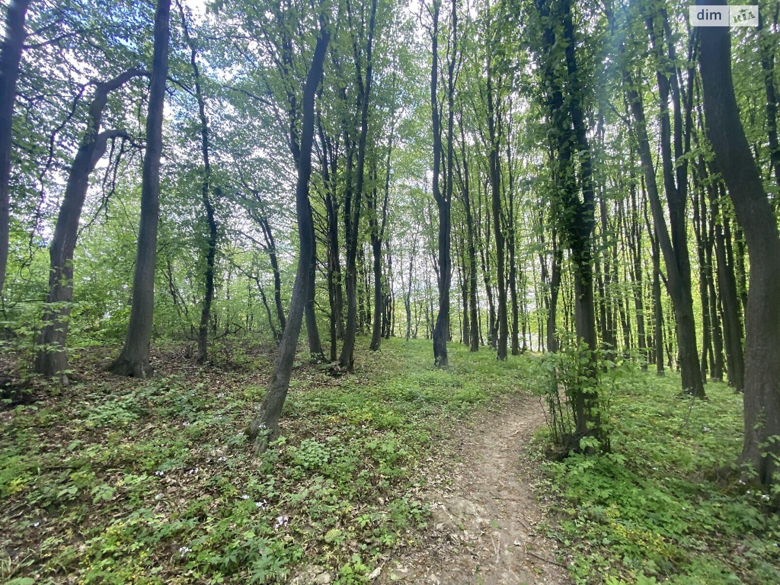 Земля комерційного призначення в Вінниці, район Старе місто, площа 30 соток фото 1 Земля комерційного призначення в Вінниці, район Старе місто, площа 30 соток фото 1
