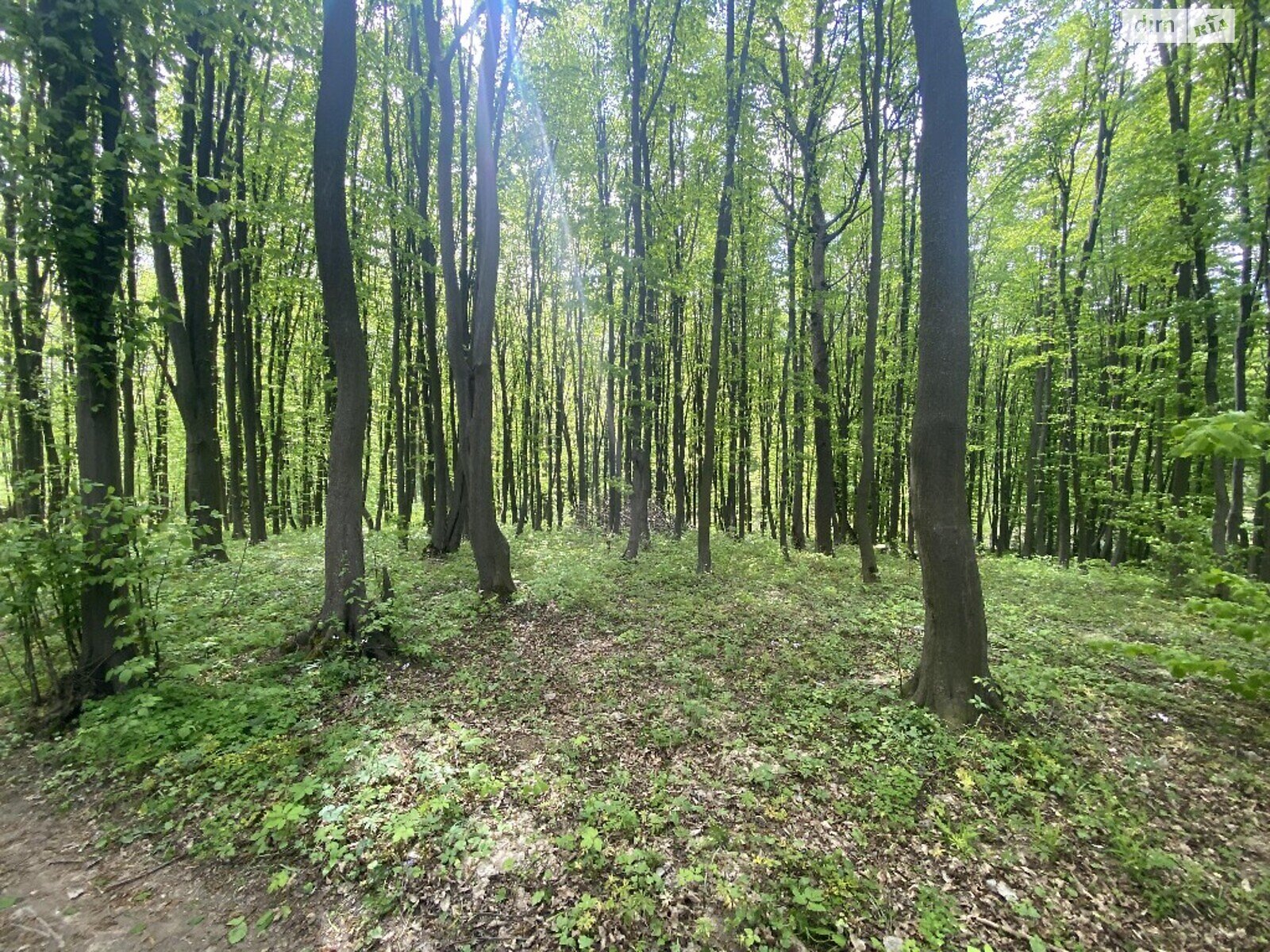Земля комерційного призначення в Вінниці, район Старе місто, площа 30 соток фото 1 Земля комерційного призначення в Вінниці, район Старе місто, площа 30 соток фото 1