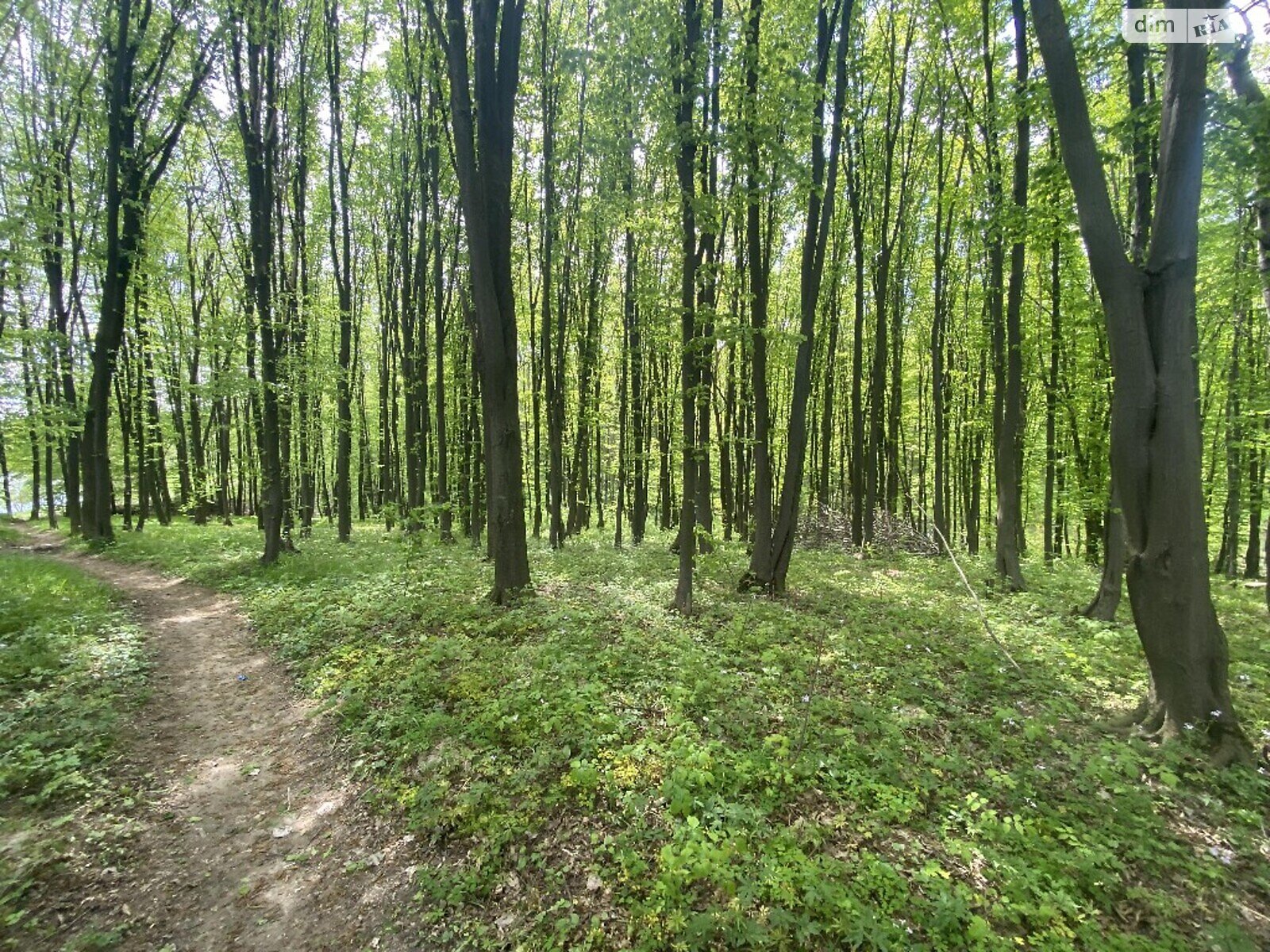 Земля комерційного призначення в Вінниці, район Старе місто, площа 30 соток фото 1 Земля комерційного призначення в Вінниці, район Старе місто, площа 30 соток фото 1