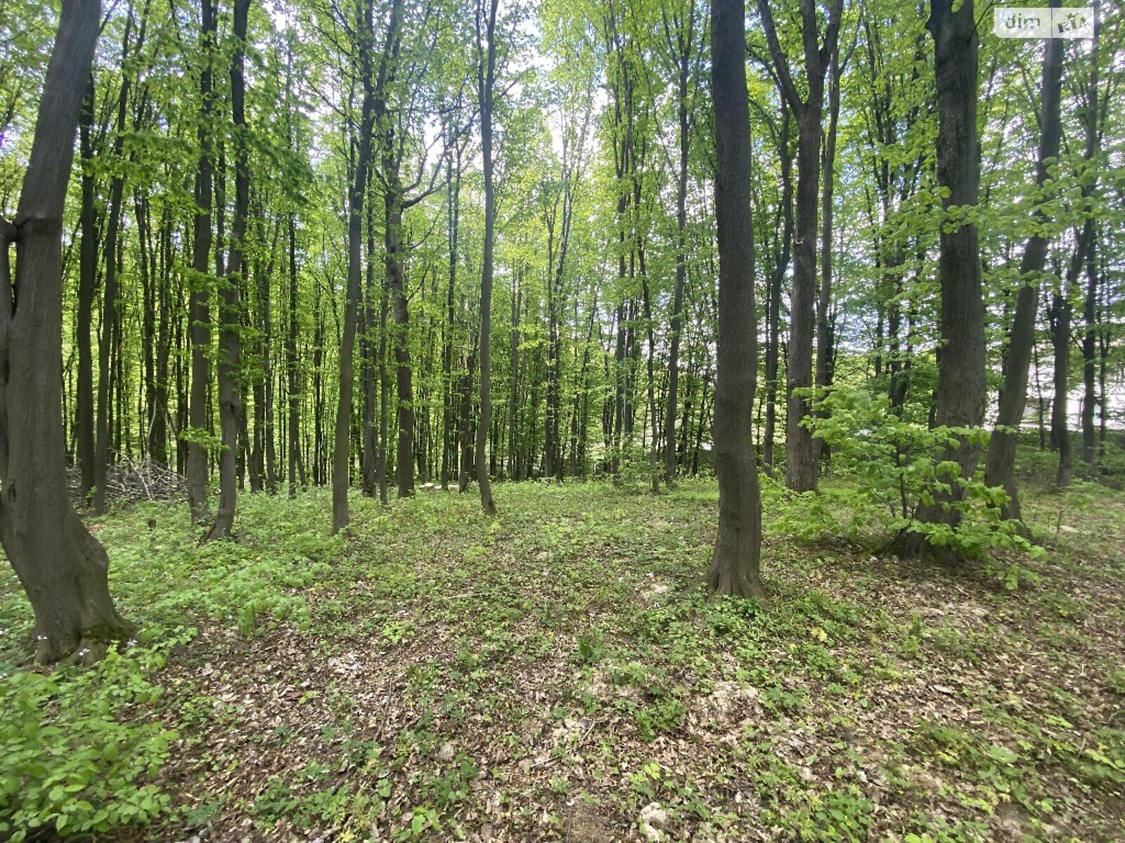Земля комерційного призначення в Вінниці, район Старе місто, площа 30 соток фото 1 Земля комерційного призначення в Вінниці, район Старе місто, площа 30 соток фото 1