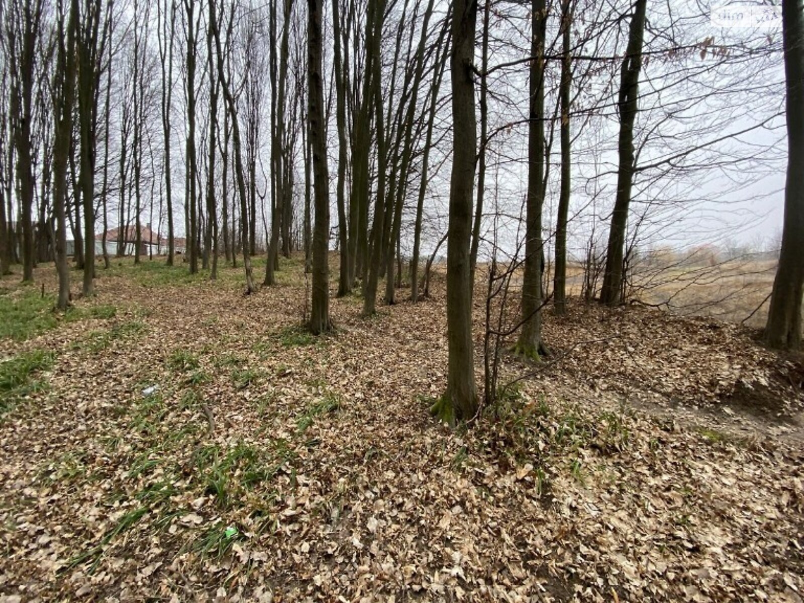 Земля комерційного призначення в Вінниці, район Старе місто, площа 30 соток фото 1 Земля комерційного призначення в Вінниці, район Старе місто, площа 30 соток фото 1