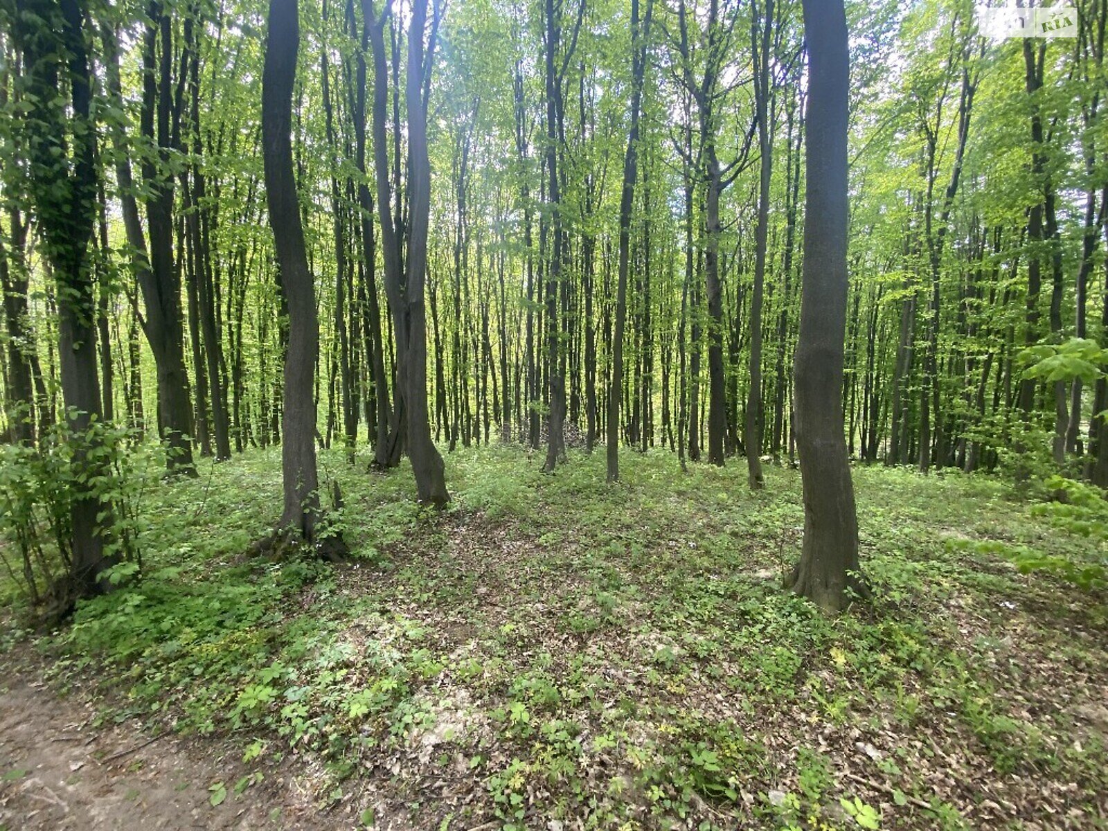 Земля комерційного призначення в Вінниці, район Старе місто, площа 30 соток фото 1