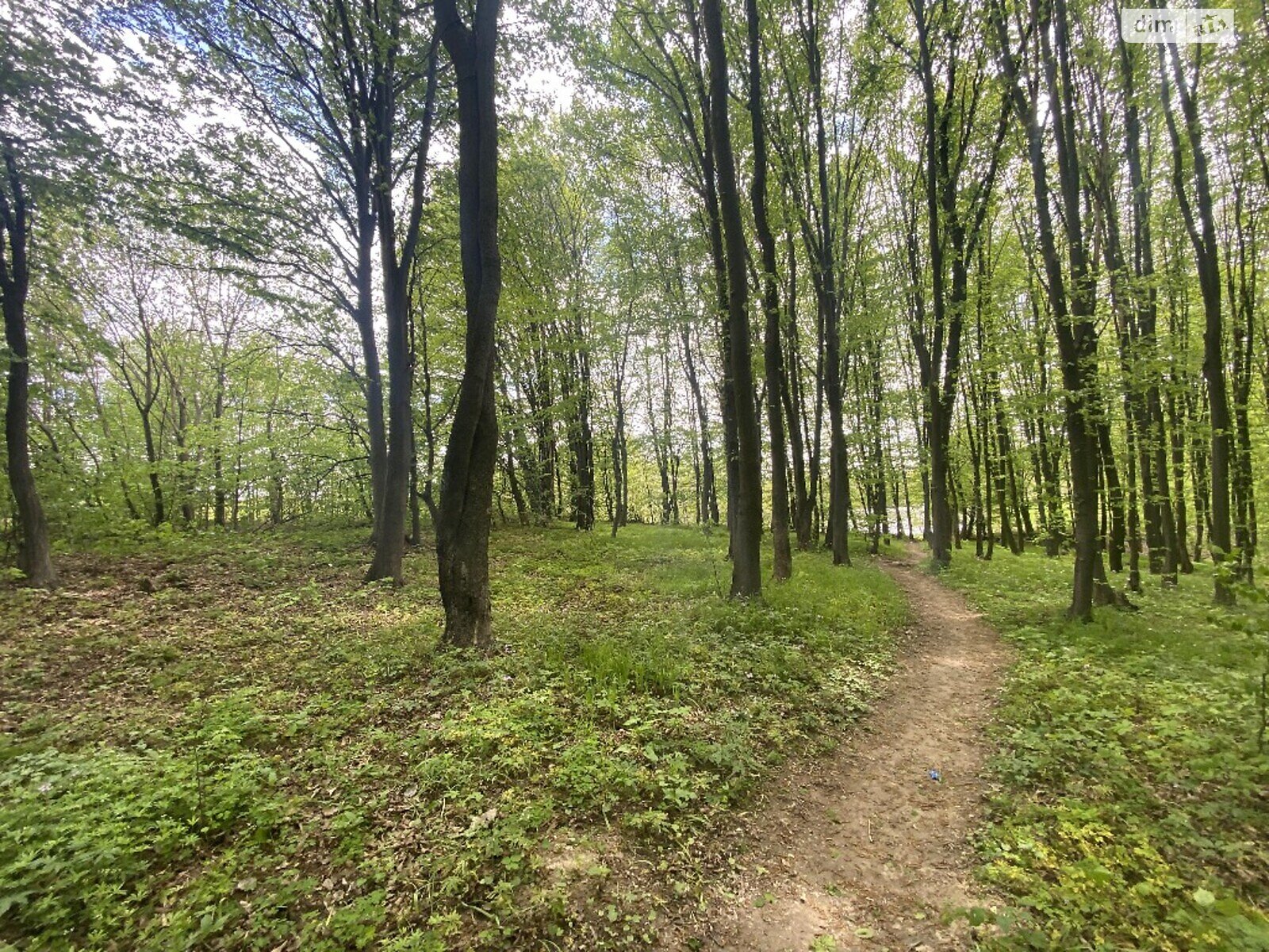 Земля комерційного призначення в Вінниці, район Старе місто, площа 30 соток фото 1