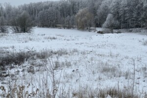 Земля коммерческого назначения в Виннице, район Старый город, площадь 40 соток фото 2