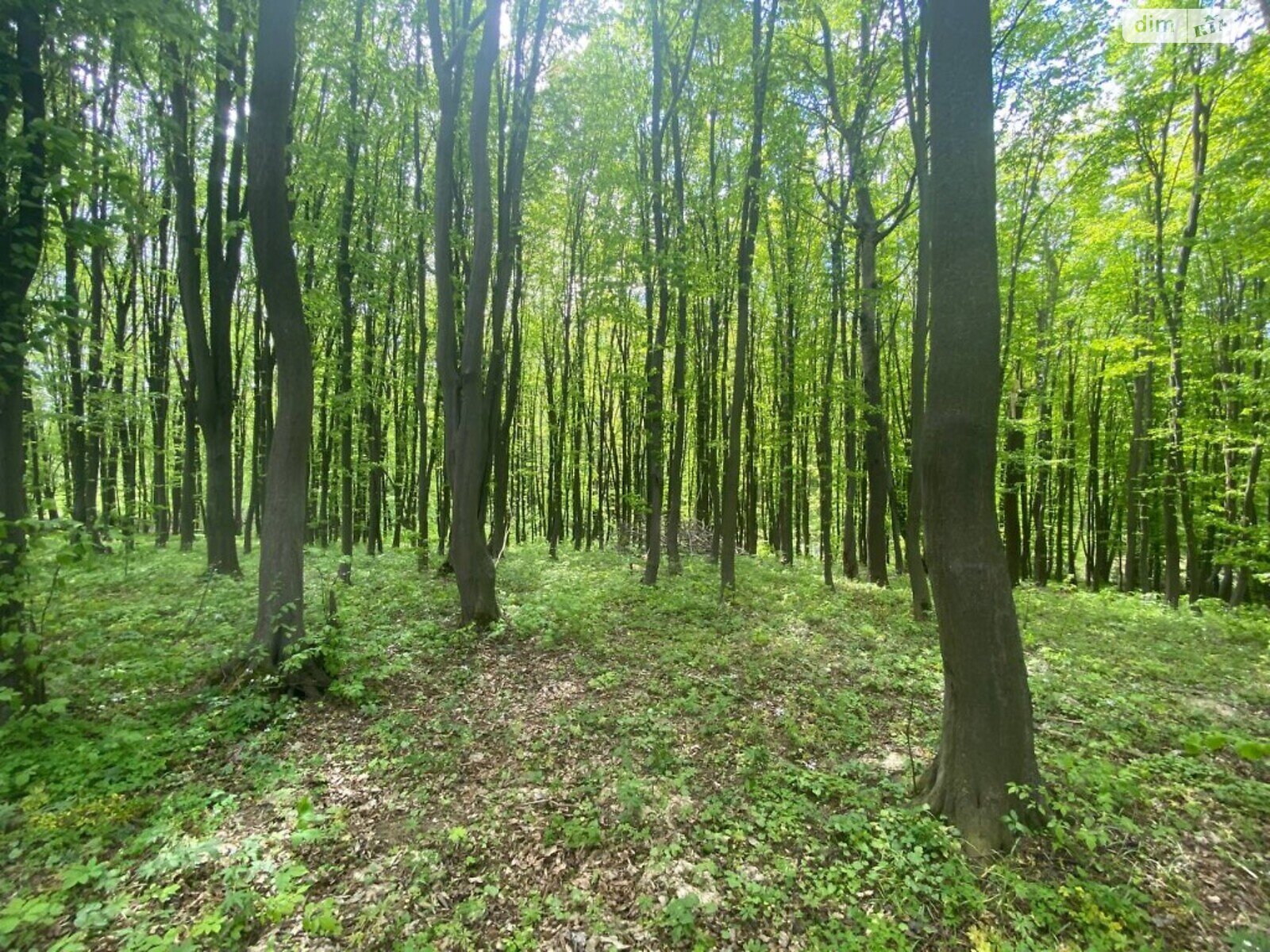Земля комерційного призначення в Вінниці, район Старе місто, площа 30 соток фото 1 Земля комерційного призначення в Вінниці, район Старе місто, площа 30 соток фото 1
