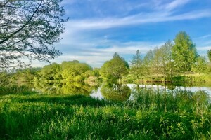 Земельна ділянка комерційного призначення в Стрижавці, площа 2 Га фото 2