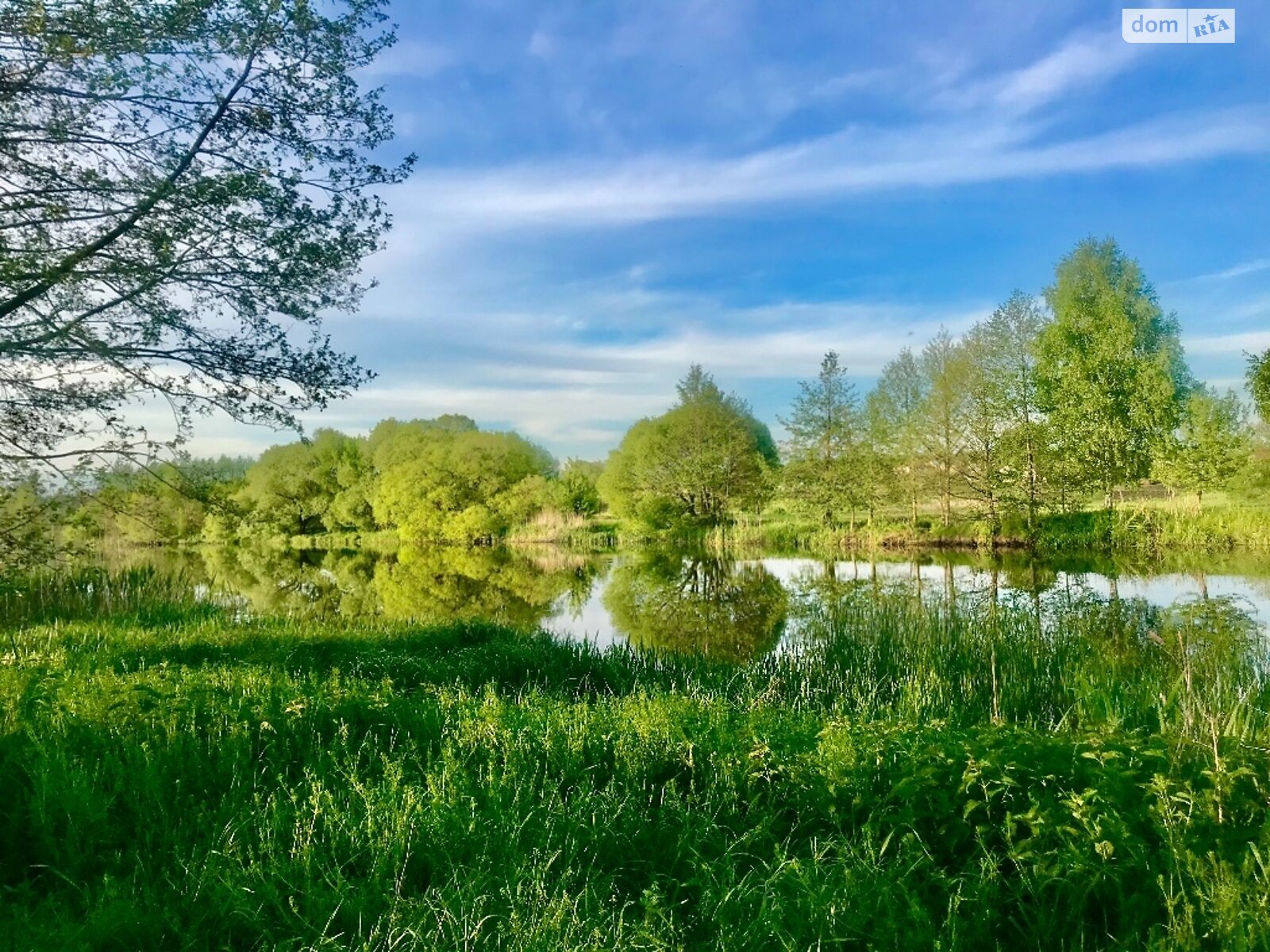 Земельна ділянка комерційного призначення в Стрижавці, площа 2 Га фото 1