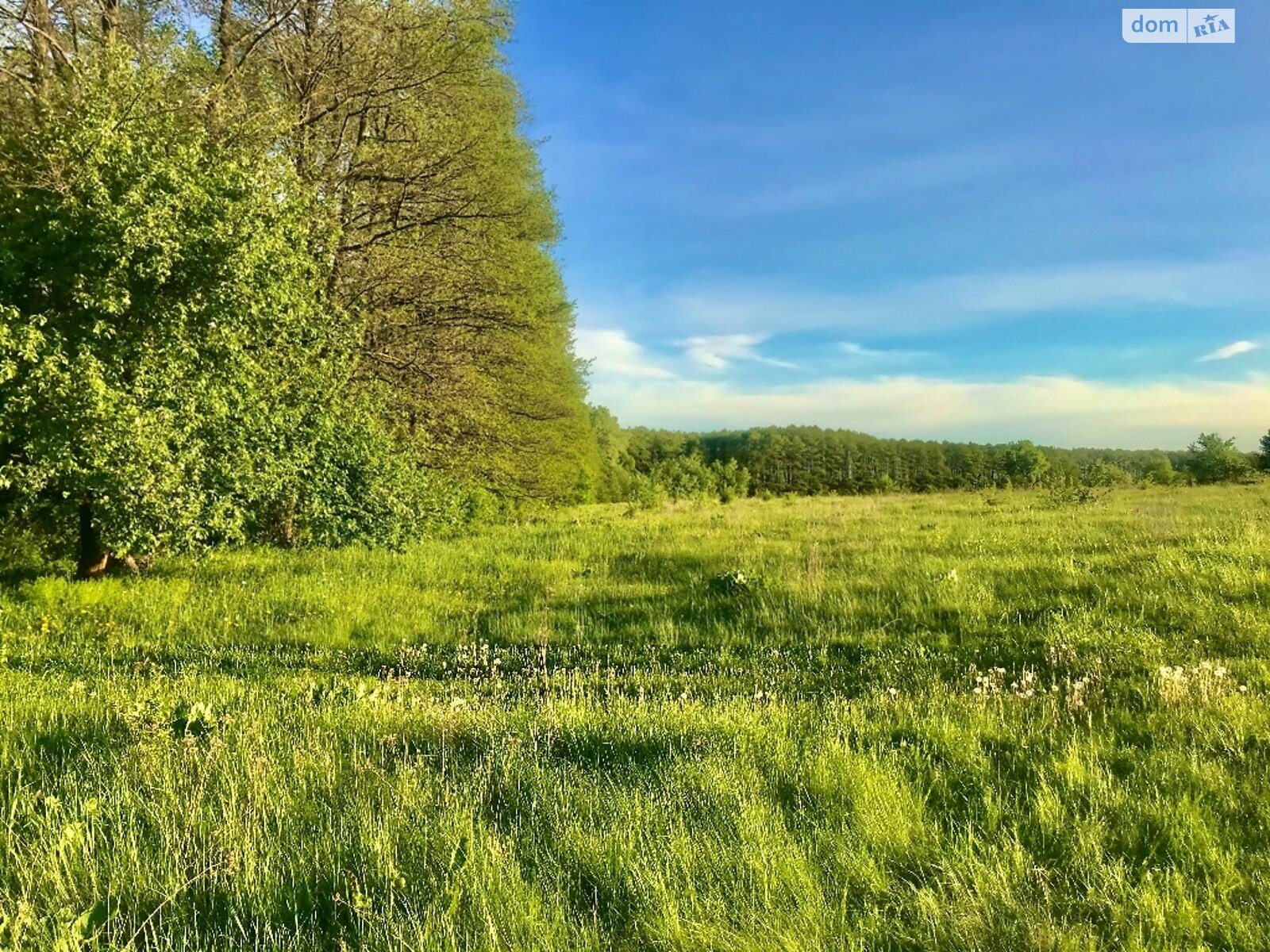 Земельна ділянка комерційного призначення в Стрижавці, площа 2 Га фото 1