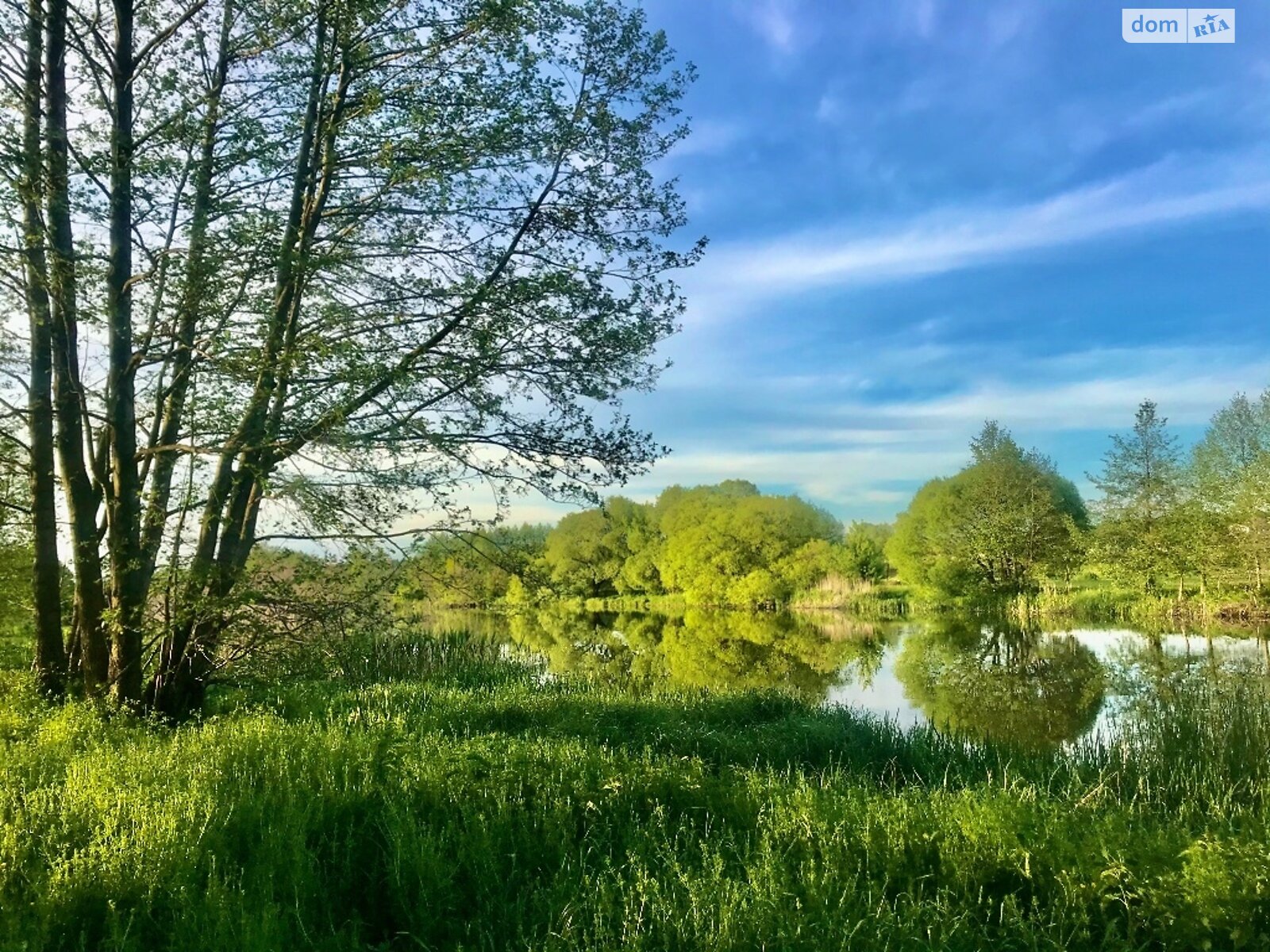 Земельна ділянка комерційного призначення в Стрижавці, площа 2 Га фото 1