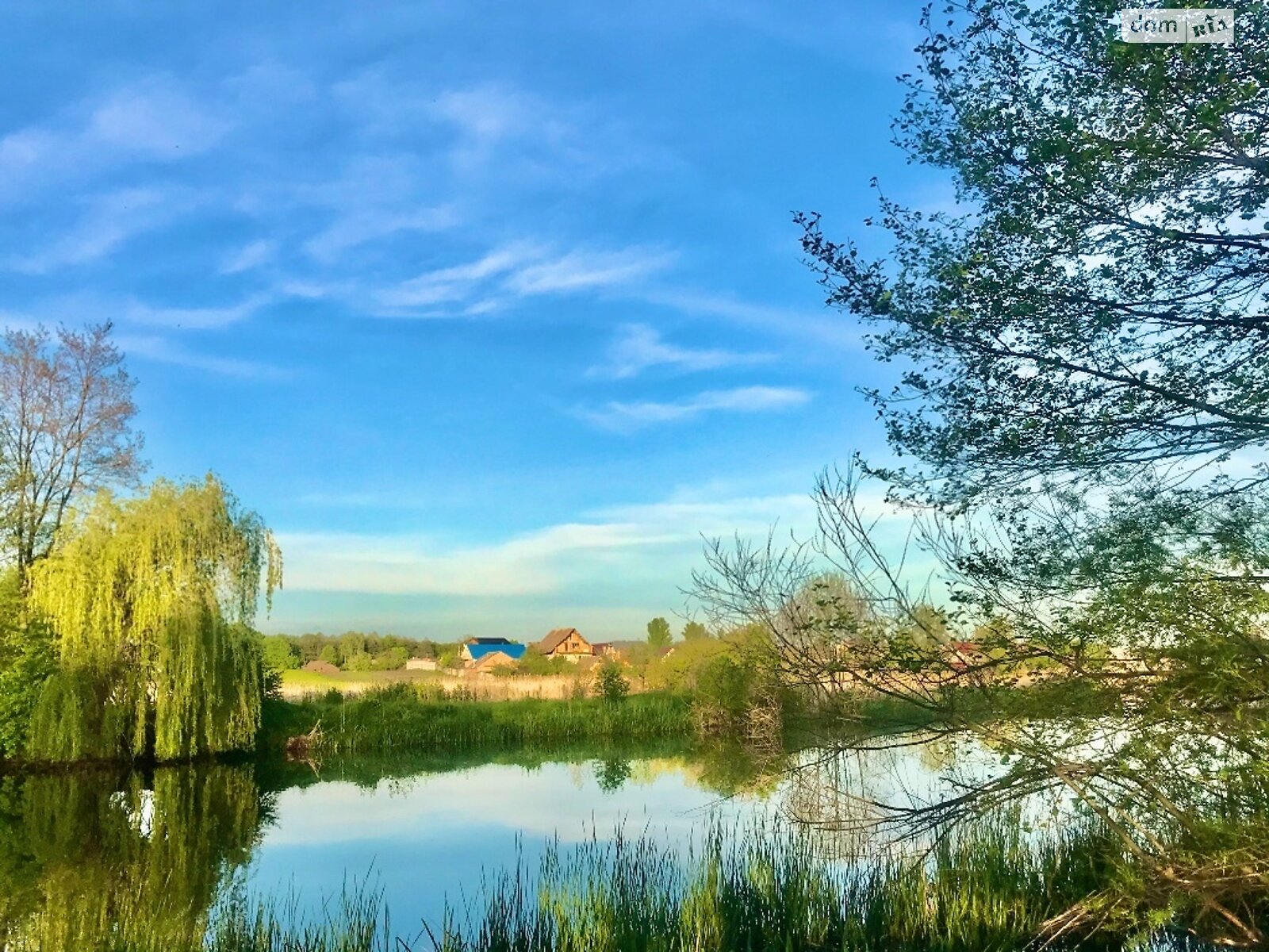 Земельна ділянка комерційного призначення в Стрижавці, площа 2 Га фото 1