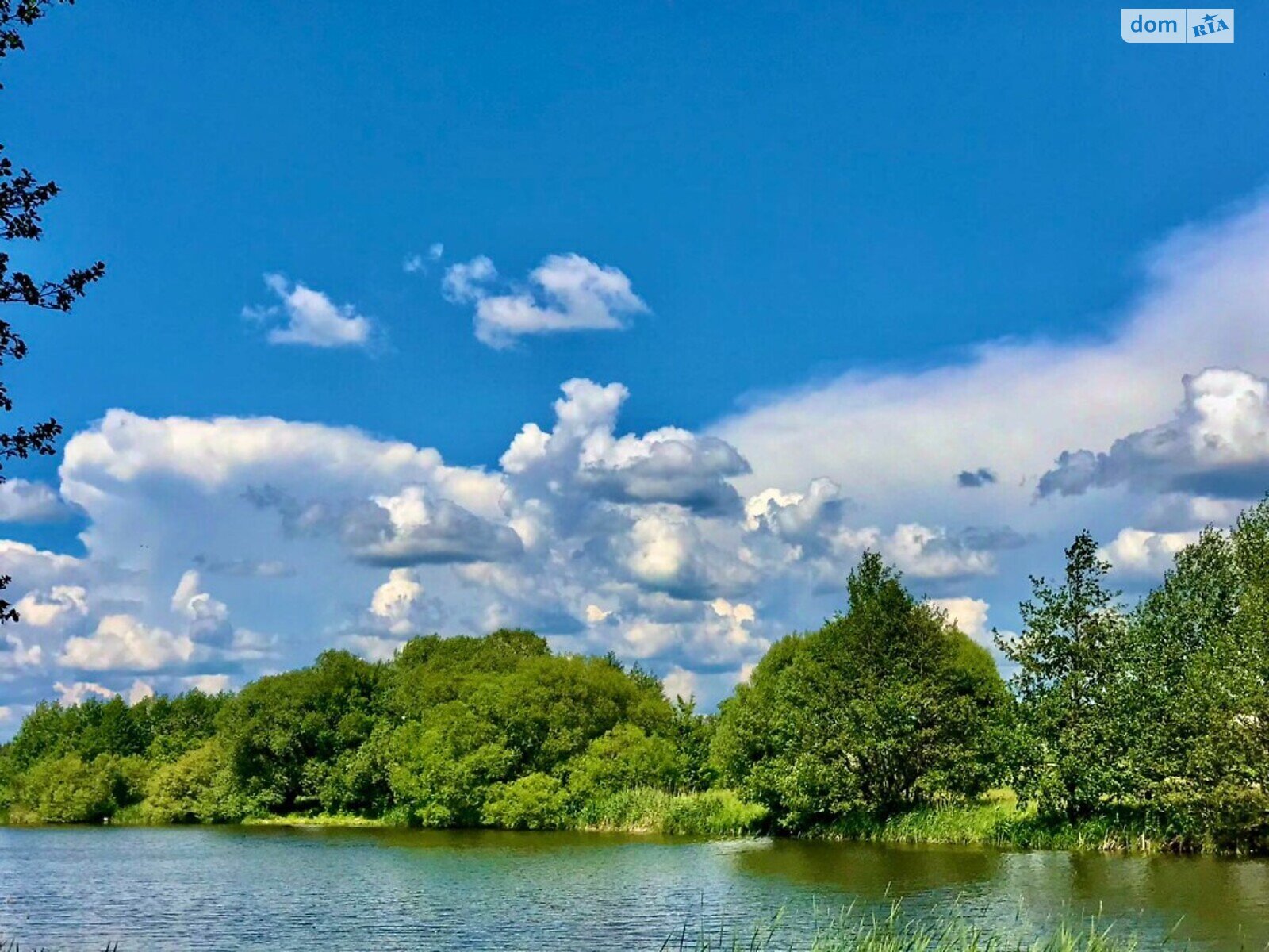 Земельна ділянка комерційного призначення в Стрижавці, площа 2 Га фото 1