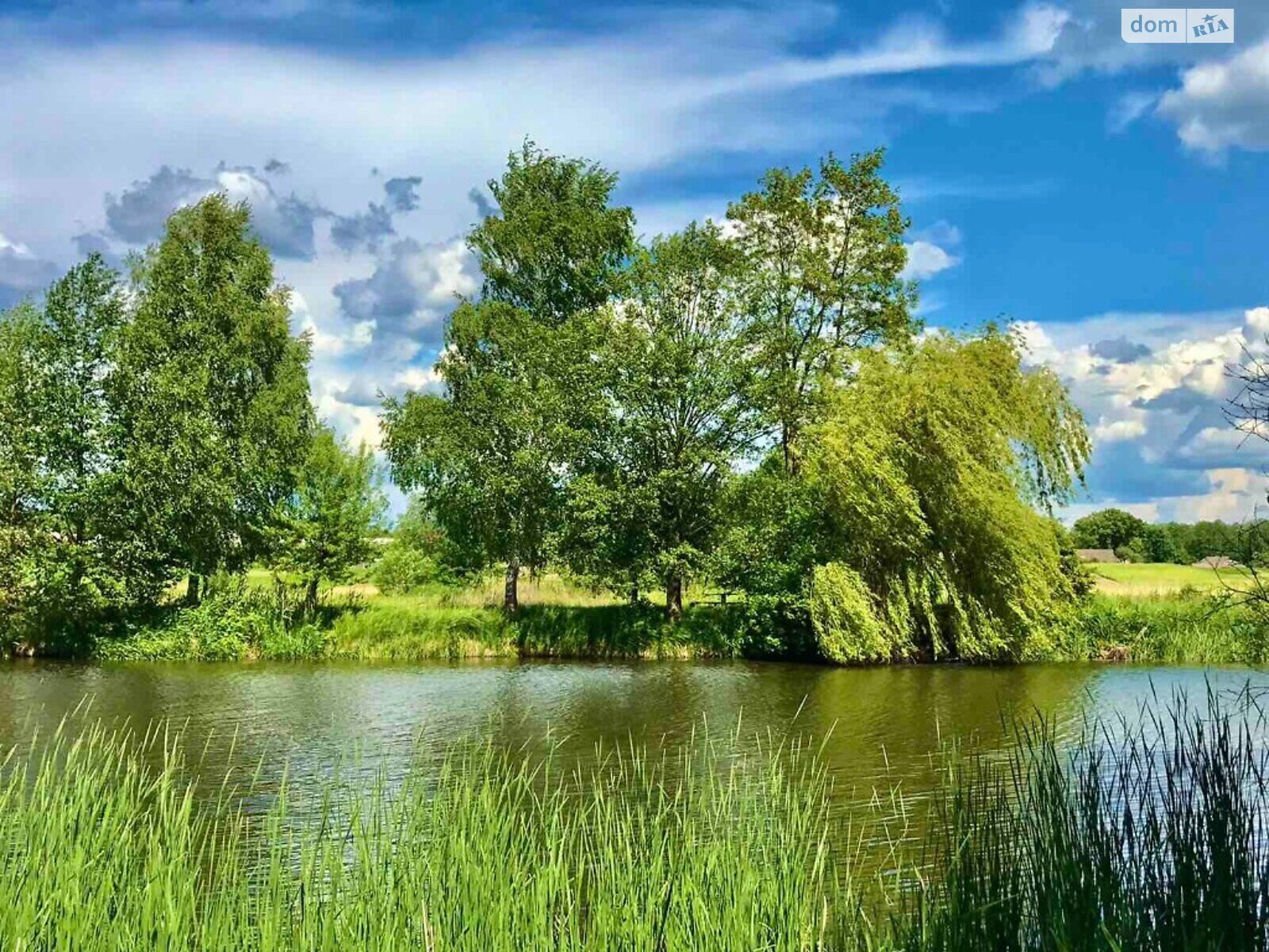 Земельна ділянка комерційного призначення в Стрижавці, площа 2 Га фото 1