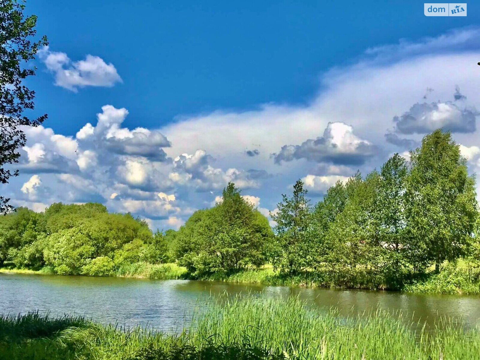 Земельна ділянка комерційного призначення в Стрижавці, площа 2 Га фото 1