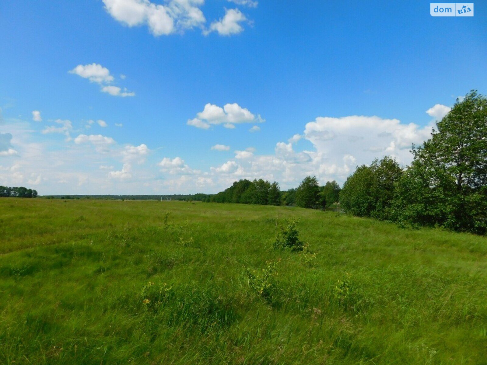 Земельна ділянка комерційного призначення в Стрижавці, площа 2 Га фото 1