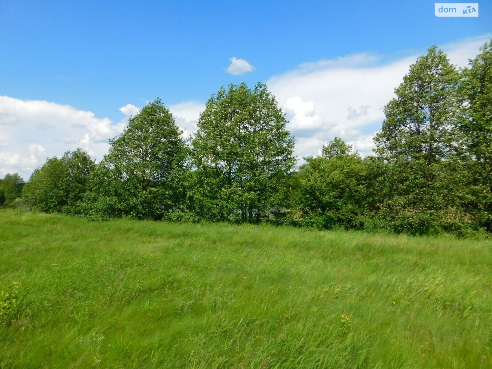 Земельна ділянка комерційного призначення в Стрижавці, площа 2 Га фото 1