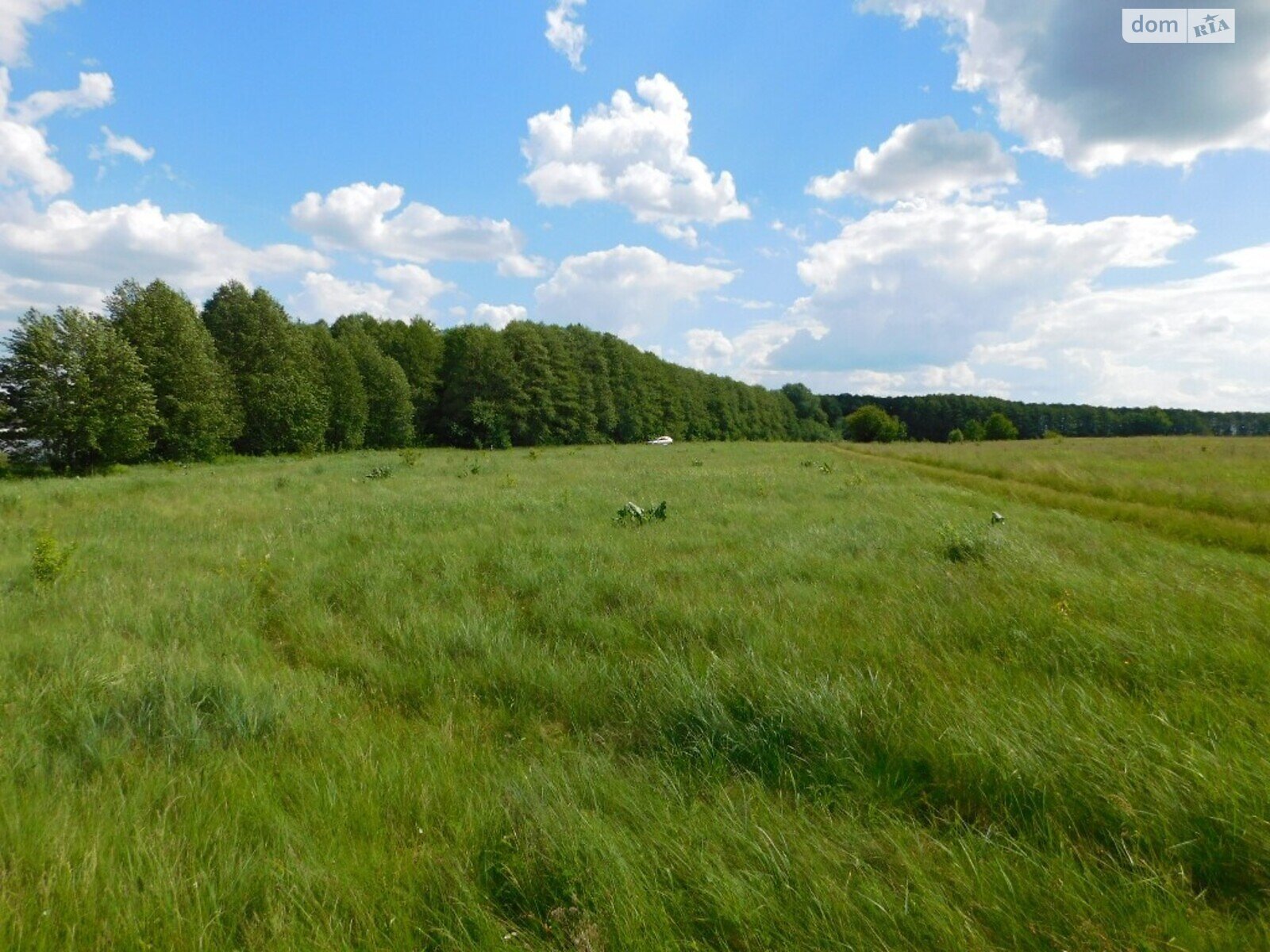 Земельна ділянка комерційного призначення в Стрижавці, площа 2 Га фото 1