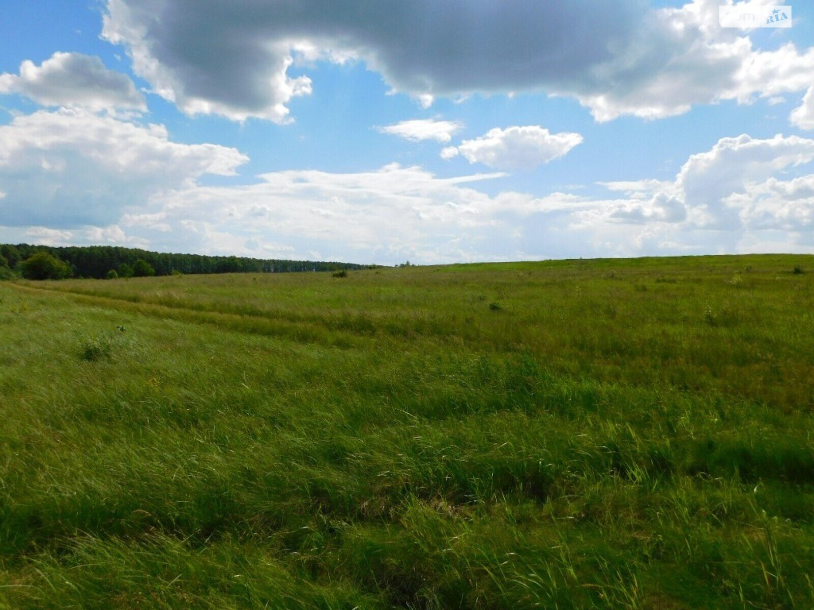 Земельна ділянка комерційного призначення в Стрижавці, площа 2 Га фото 1