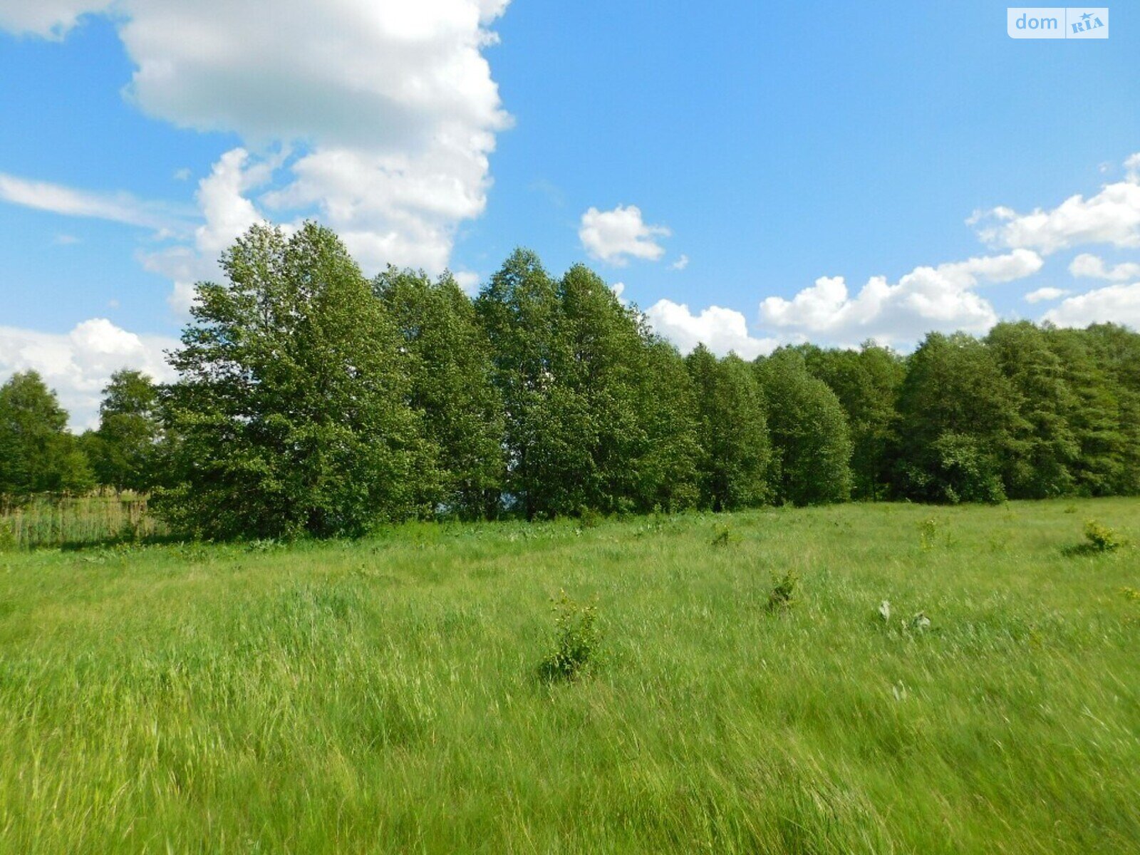 Земельна ділянка комерційного призначення в Стрижавці, площа 2 Га фото 1