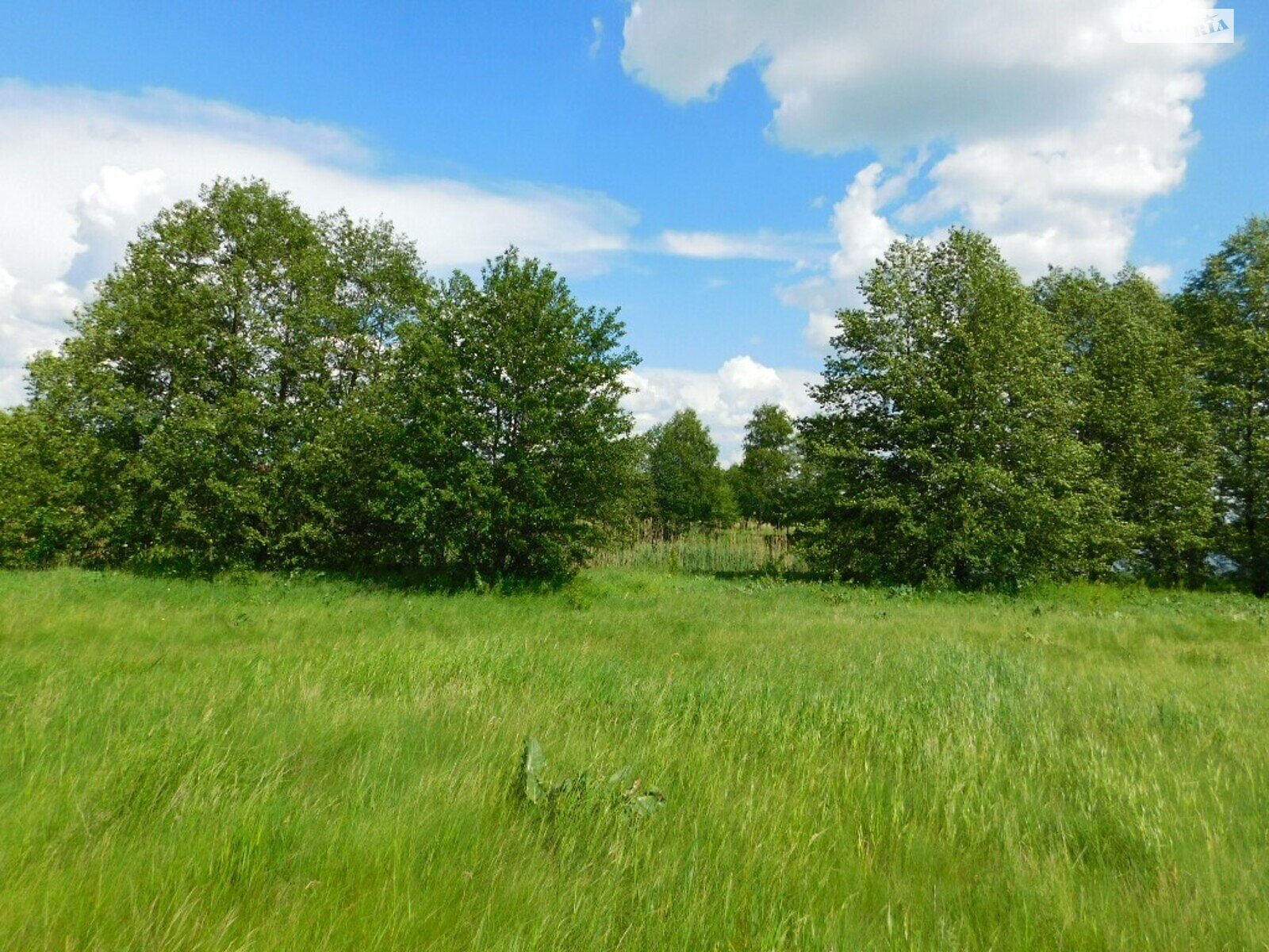 Земельна ділянка комерційного призначення в Стрижавці, площа 2 Га фото 1