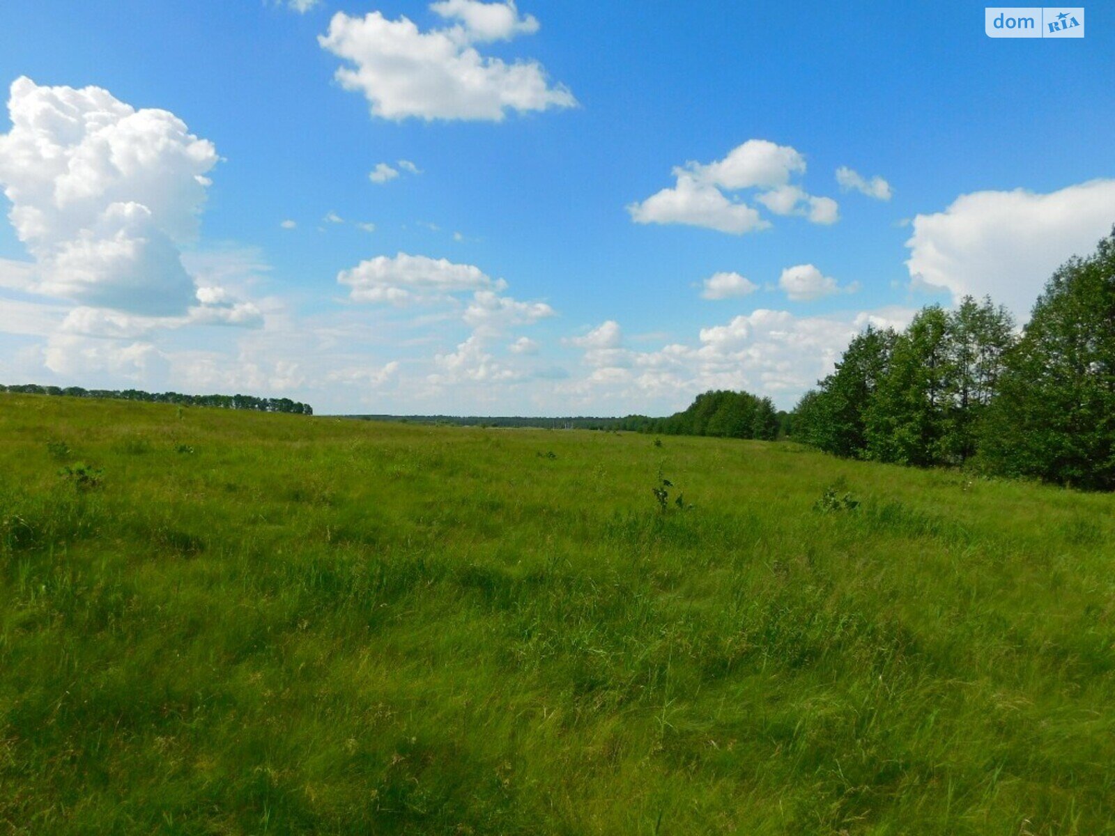 Земельна ділянка комерційного призначення в Стрижавці, площа 2 Га фото 1