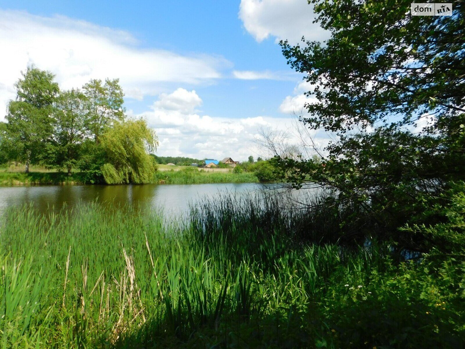 Земельна ділянка комерційного призначення в Стрижавці, площа 2 Га фото 1