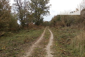 Земельна ділянка комерційного призначення в Вінницьких Хуторах, площа 168 соток фото 2