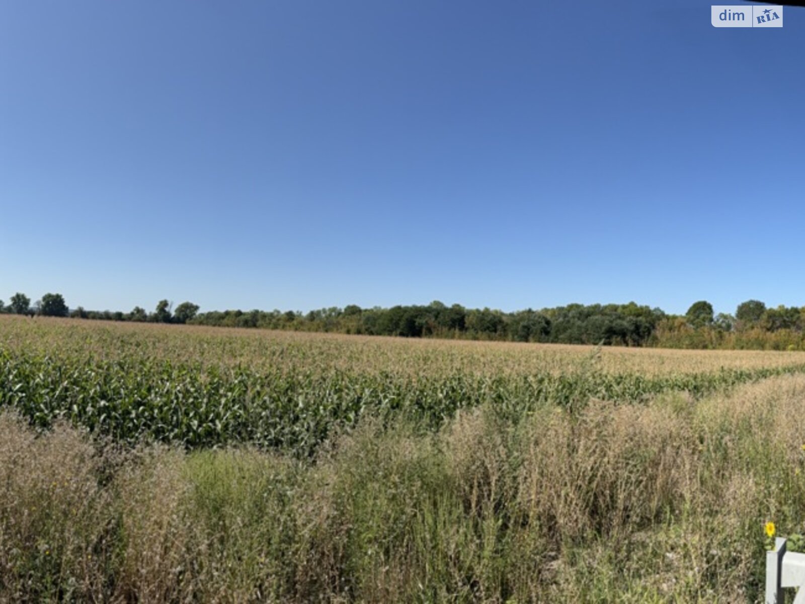 Земля коммерческого назначения в Виннице, район Замостье, площадь 136 соток фото 1