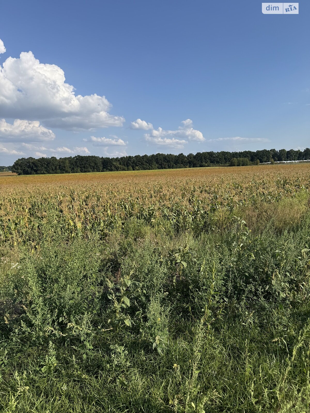 Земля комерційного призначення в Вінниці, район Замостя, площа 140 соток фото 1