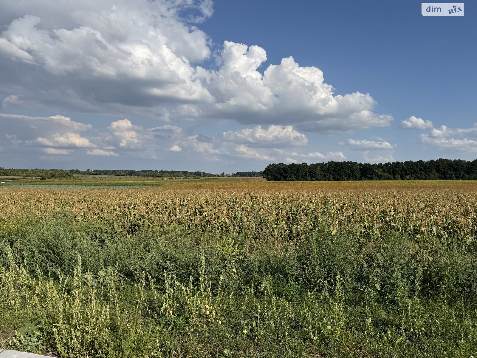 Земля комерційного призначення в Вінниці, район Замостя, площа 140 соток фото 1