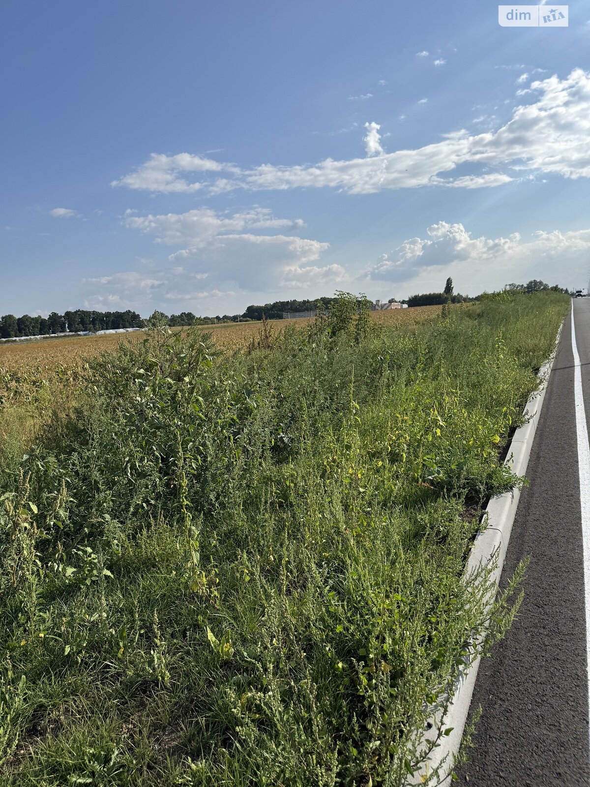 Земля комерційного призначення в Вінниці, район Замостя, площа 140 соток фото 1