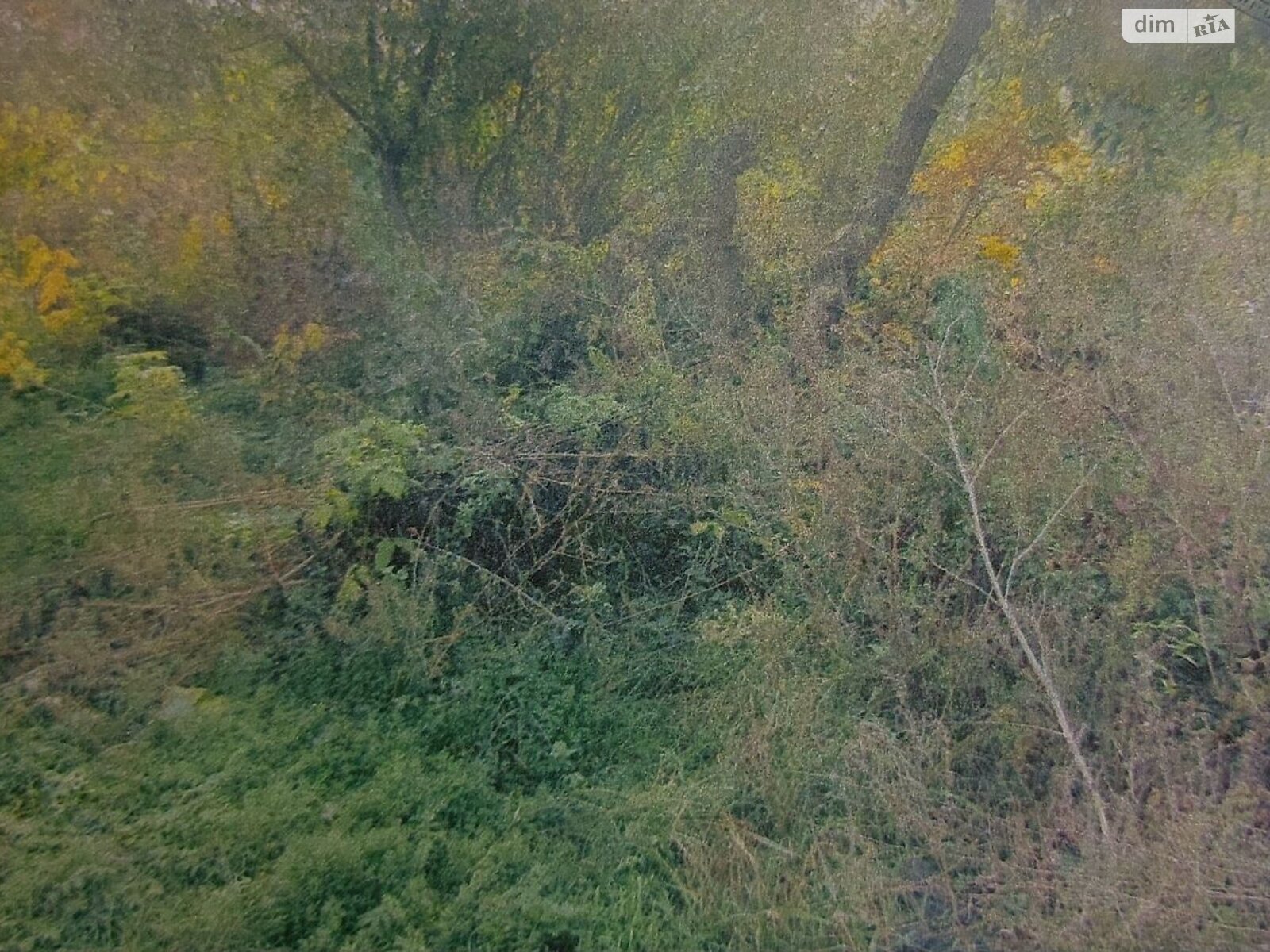 Земельный участок коммерческого назначения в Виннице, площадь 0.6789 Га фото 1 Земельный участок коммерческого назначения в Виннице, площадь 0.6789 Га фото 1