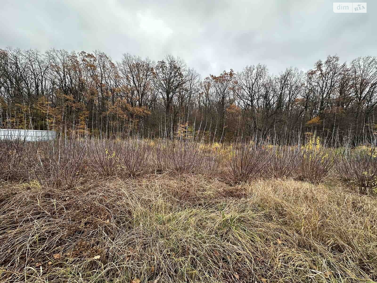 Земельна ділянка комерційного призначення в Агрономічному, площа 10 соток фото 1