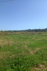 Земельный участок коммерческого назначения в Вишневце, площадь 1.95 Га фото 2 Земельный участок коммерческого назначения в Вишневце, площадь 1.95 Га фото 2