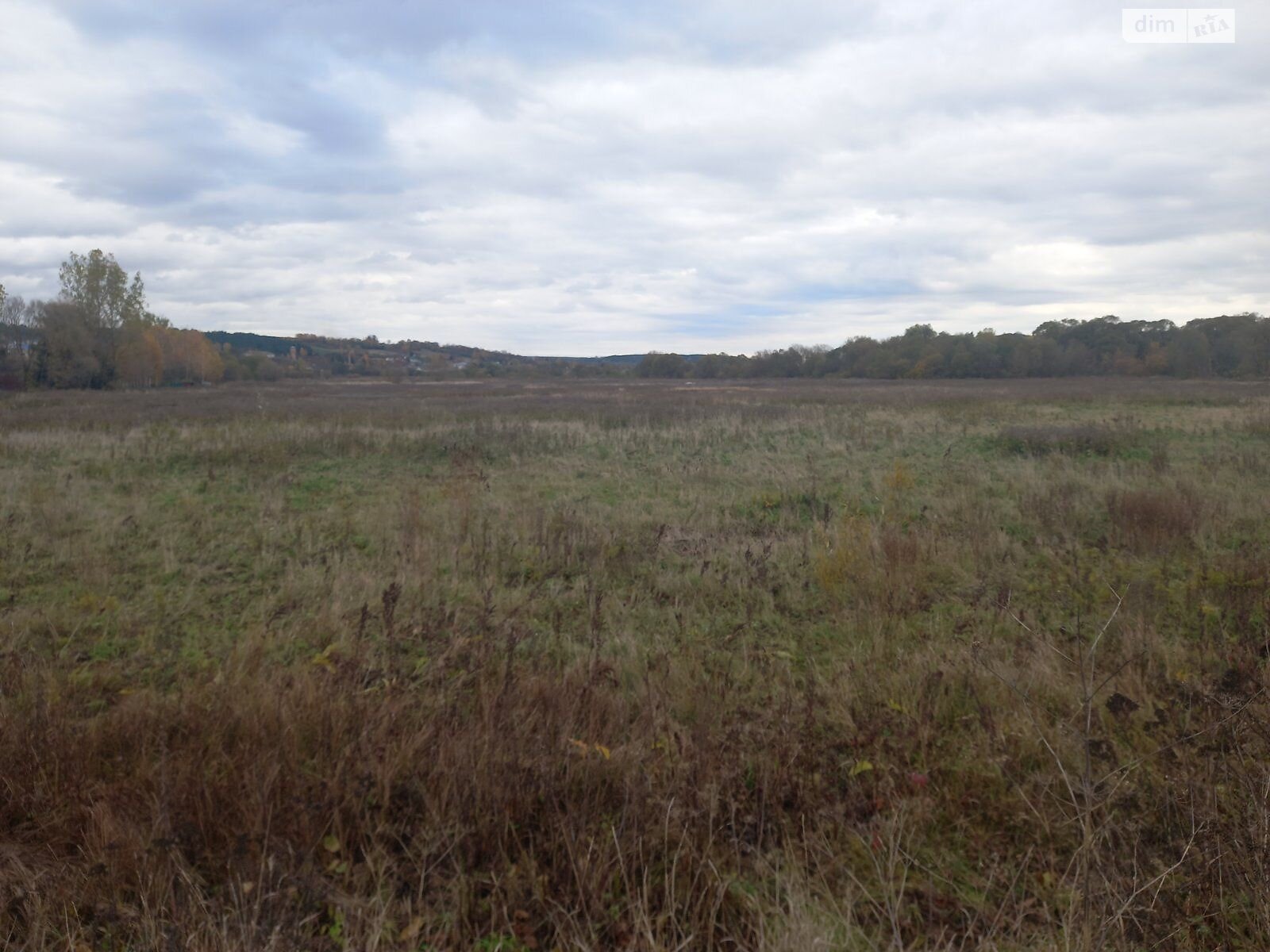 Земельна ділянка комерційного призначення в Вишнівці, площа 2.5 Га фото 1