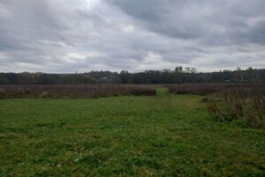 Земельна ділянка комерційного призначення в Вишнівці, площа 2.5 Га фото 2