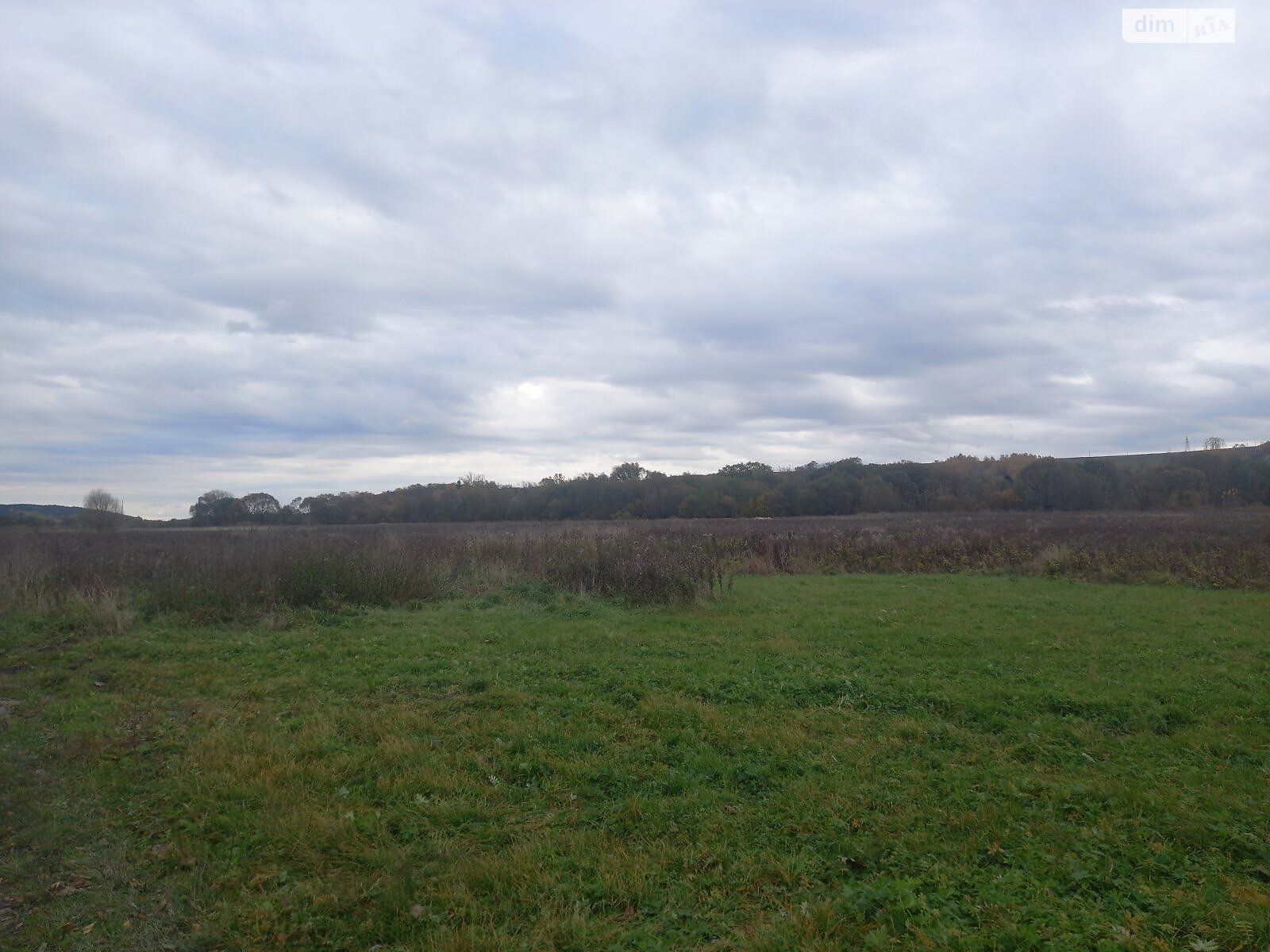 Земельна ділянка комерційного призначення в Вишнівці, площа 2.5 Га фото 1