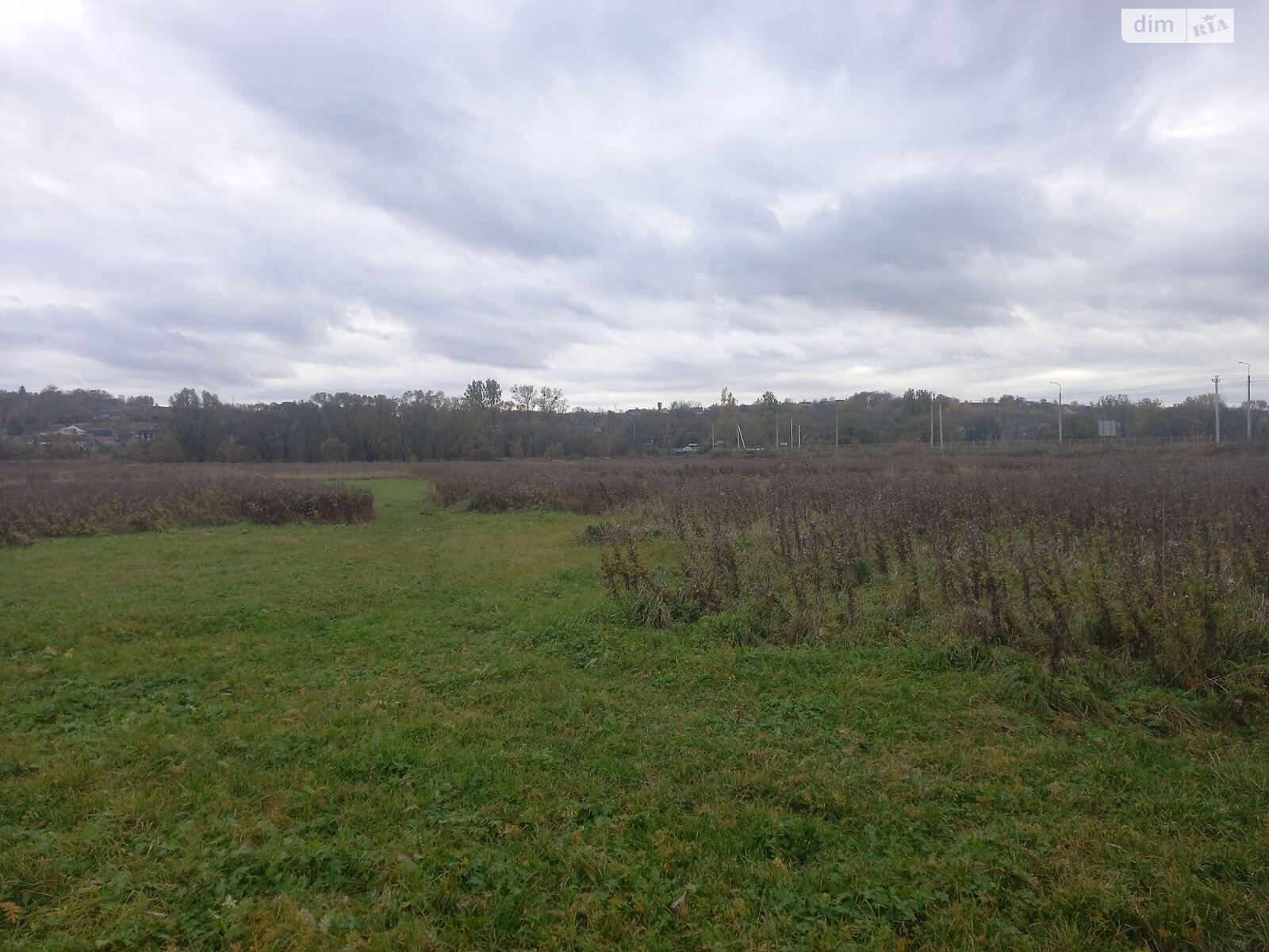 Земельна ділянка комерційного призначення в Вишнівці, площа 2.5 Га фото 1