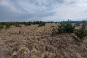 Земельна ділянка комерційного призначення в Волі-Висоцькій, площа 2 Га фото 2