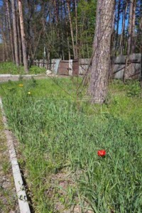 Земельный участок коммерческого назначения в Ворзеле, площадь 405 соток фото 2