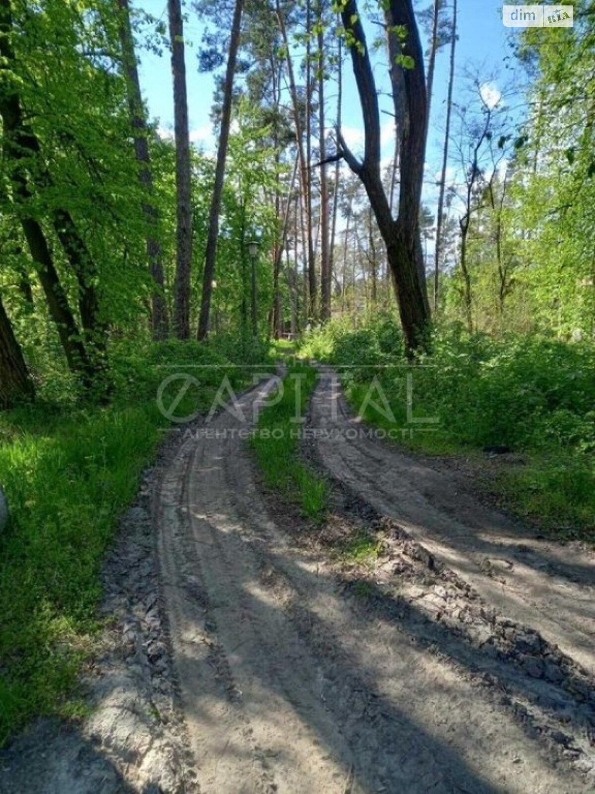 Земельный участок коммерческого назначения в Ворзеле, площадь 405 соток фото 1 Земельный участок коммерческого назначения в Ворзеле, площадь 405 соток фото 1