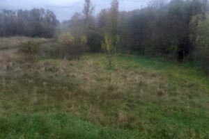 Земельный участок коммерческого назначения в Выгоде, площадь 0.22 Га фото 1