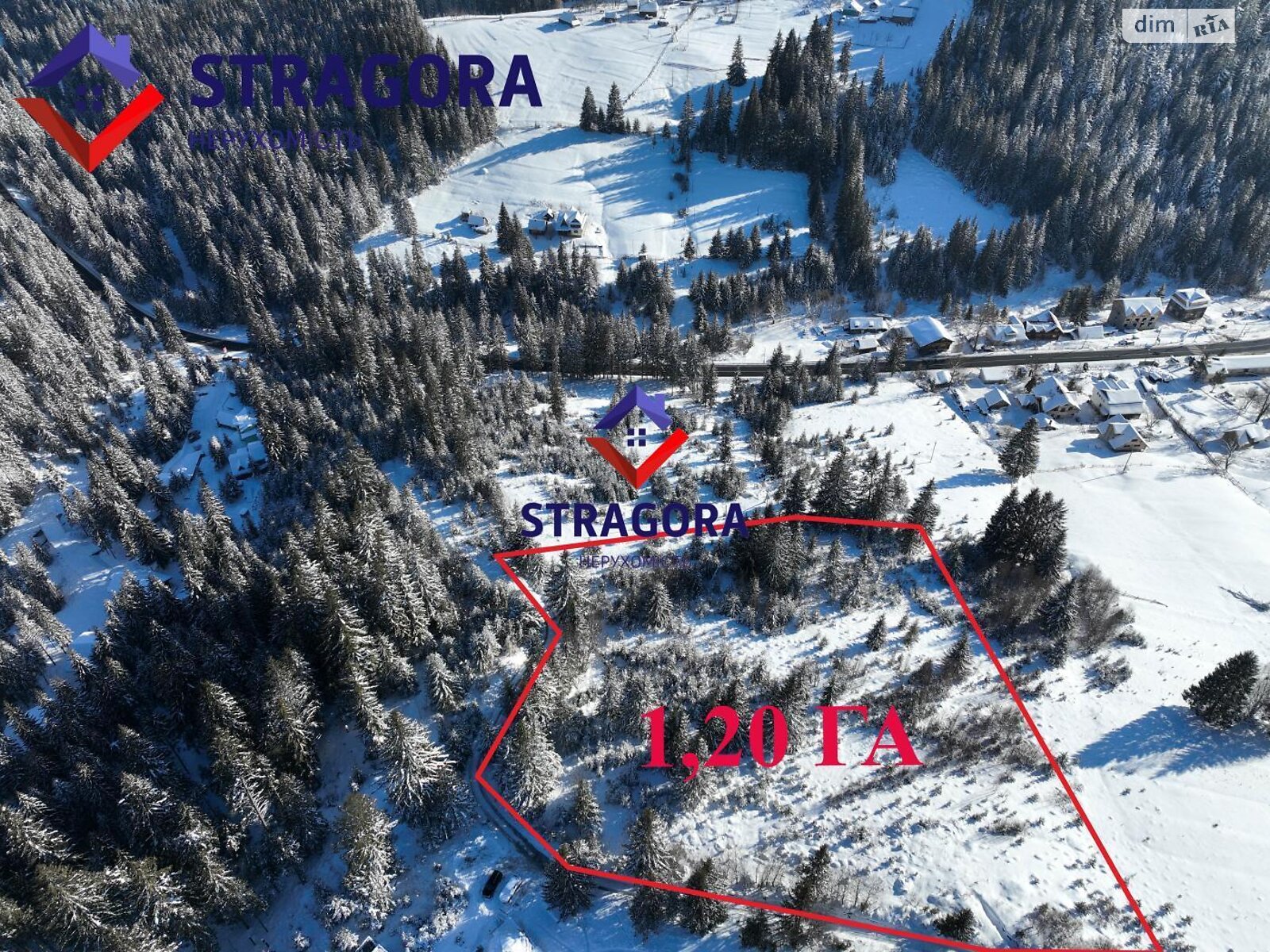 Земельна ділянка комерційного призначення в Яблуниці, площа 120 соток фото 1