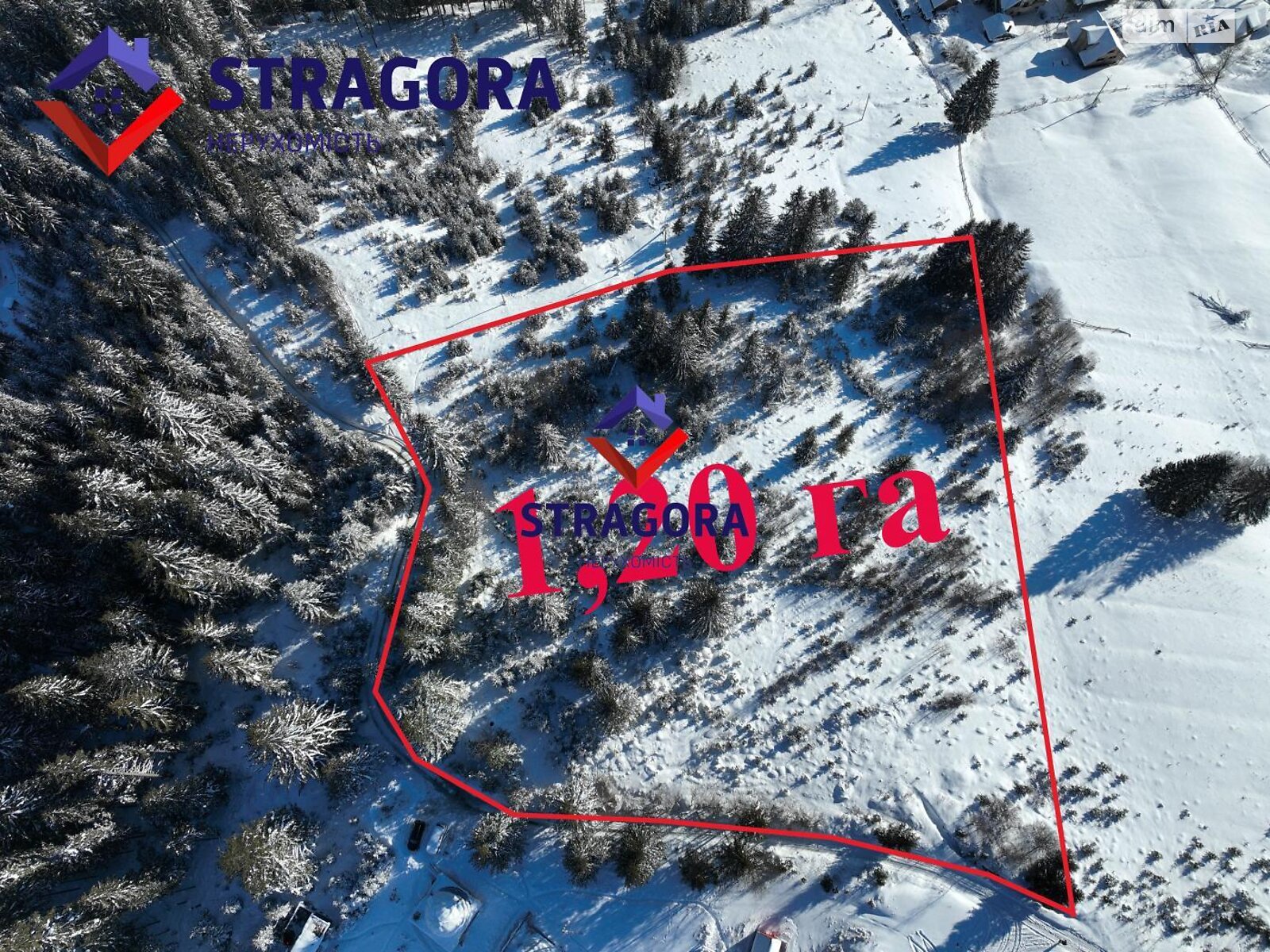 Земельна ділянка комерційного призначення в Яблуниці, площа 120 соток фото 1