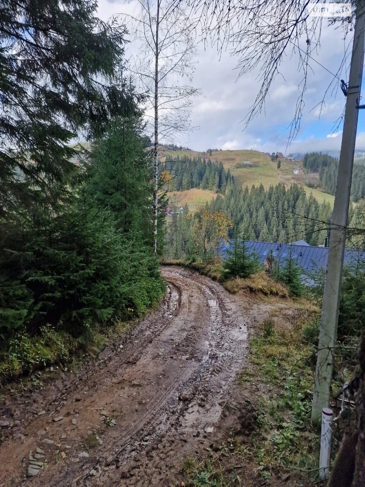 Земельный участок коммерческого назначения в Яблонице, площадь 62 сотки фото 1 Земельный участок коммерческого назначения в Яблонице, площадь 62 сотки фото 1