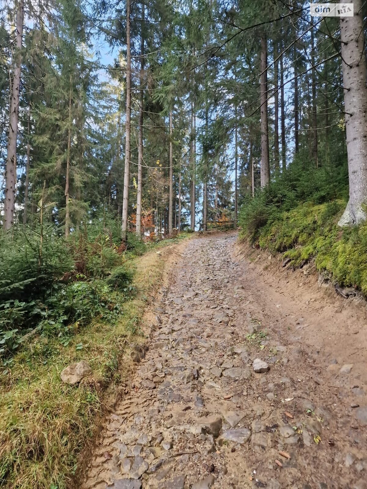 Земельный участок коммерческого назначения в Яблонице, площадь 62 сотки фото 1 Земельный участок коммерческого назначения в Яблонице, площадь 62 сотки фото 1