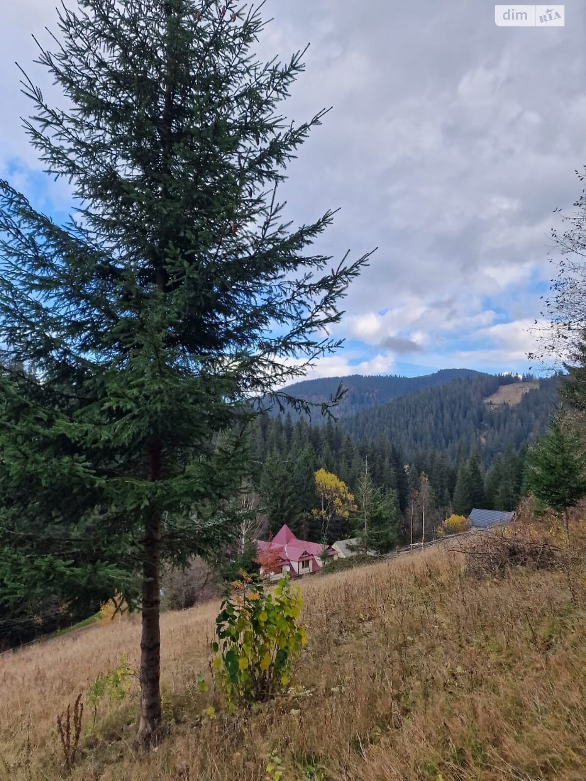 Земельный участок коммерческого назначения в Яблонице, площадь 62 сотки фото 1 Земельный участок коммерческого назначения в Яблонице, площадь 62 сотки фото 1