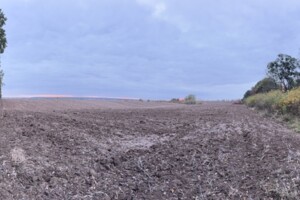 Земельный участок коммерческого назначения в Якушинцах, площадь 4.12 Га фото 2 Земельный участок коммерческого назначения в Якушинцах, площадь 4.12 Га фото 2