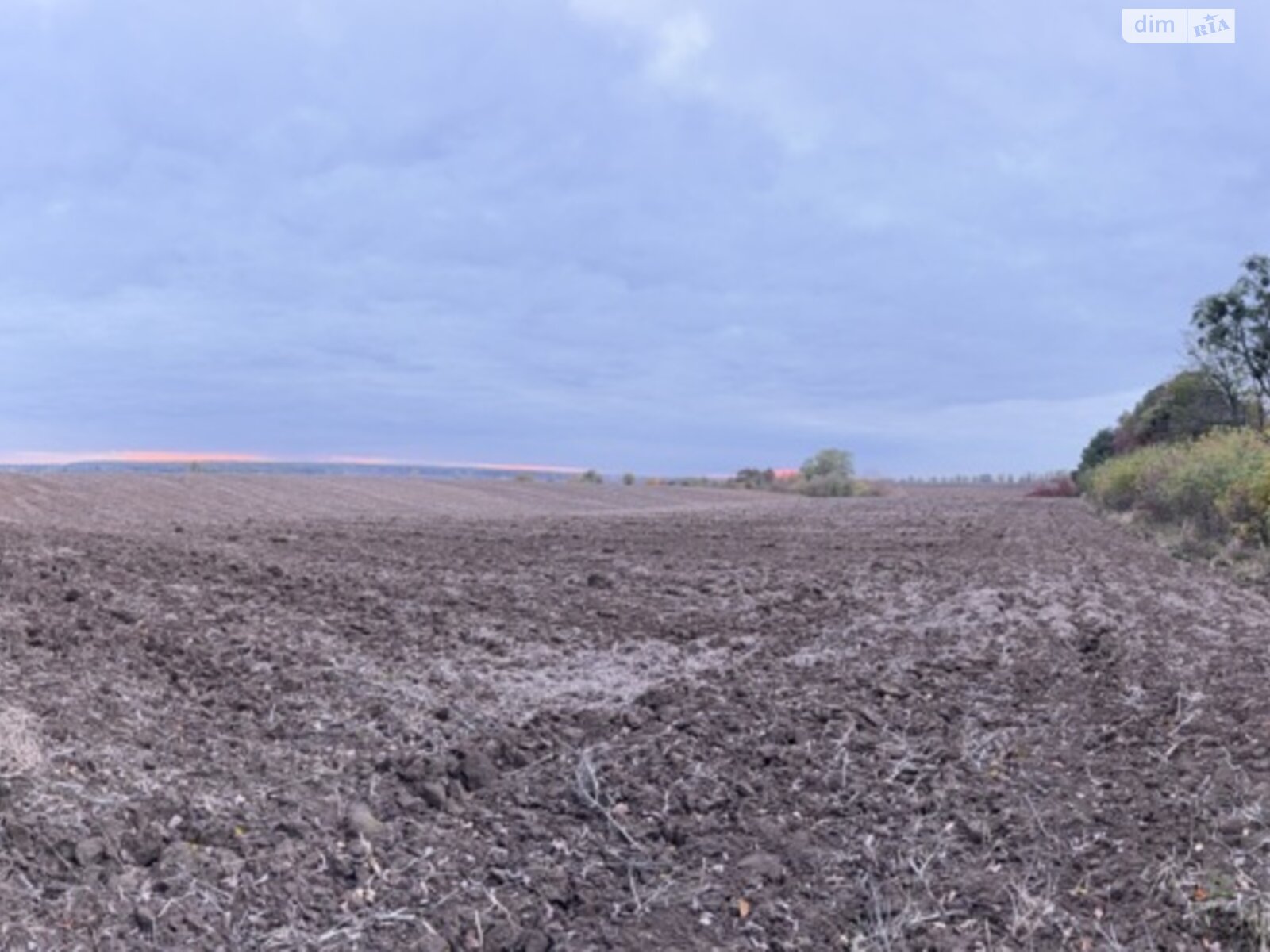 Земельный участок коммерческого назначения в Якушинцах, площадь 4.12 Га фото 1 Земельный участок коммерческого назначения в Якушинцах, площадь 4.12 Га фото 1