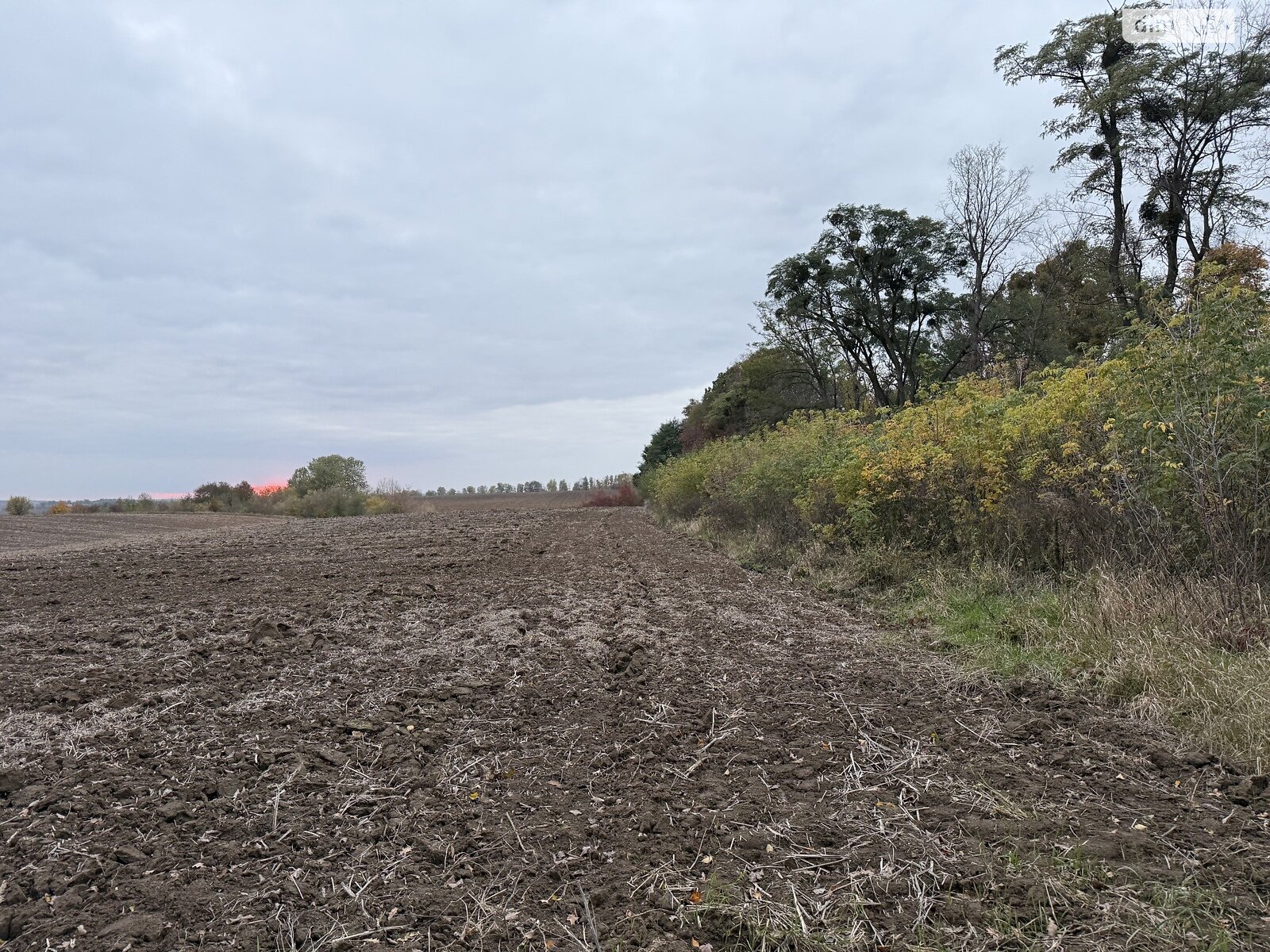Земельный участок коммерческого назначения в Якушинцах, площадь 4.12 Га фото 1 Земельный участок коммерческого назначения в Якушинцах, площадь 4.12 Га фото 1